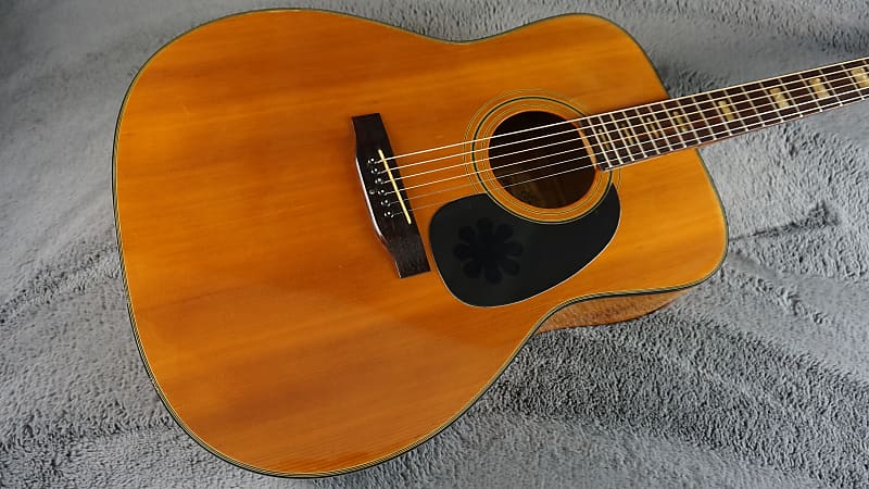 ギター TOKAI Humming Bird CUSTOM F-200(G53) 東海楽器 HummingBird Custom