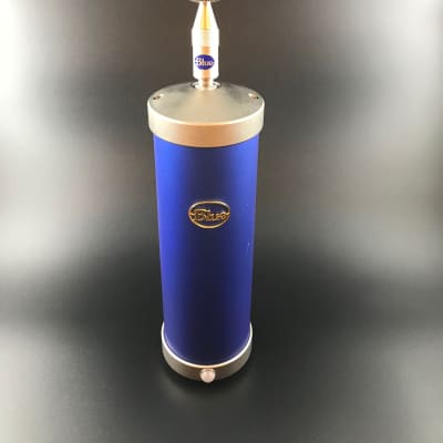 Blue Bottle | Reverb Canada Blue Bottle | Reverb Canada