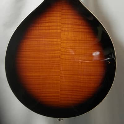 Gold Tone GM-50+: A-Style Mandolin with Pickup and Bag High Gloss Tobacco Sunburst image 6