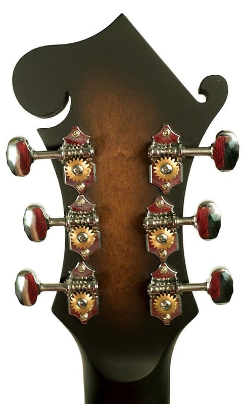 Mandolin guitar hybrid new arrivals