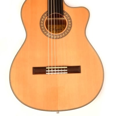 Agile 8 String Fan Fret Muli Scale Acoustic Nylon String Guitar