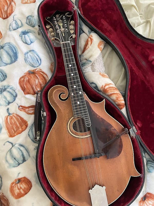 Gibson  F4 Mandolin  1909 image 1