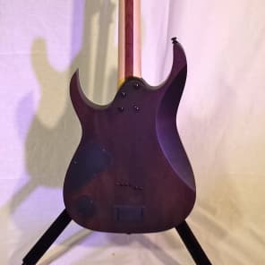 Ibanez RGIR20FE iron label アイアンレーベル ギター Ibanez Iron Label RGIR20FE Electric Guitar with EMG Pickups