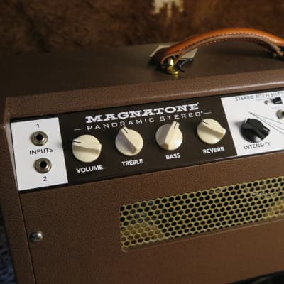 Magnatone Panoramic Stereo 2x10 Combo image 4