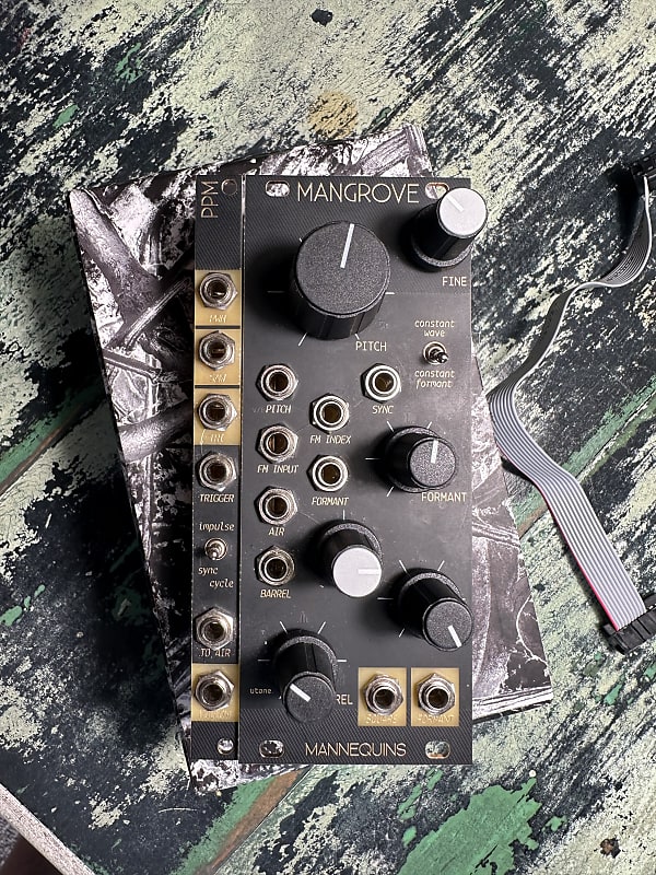 Mannequins Mangrove 2010s Black and gold with ppm exp. Reverb