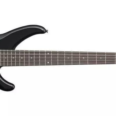 Carvin AC-50 5 String Fretless Acoustic-Electric Bass Guitar