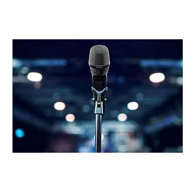 Sennheiser Pro Audio Vocal Dynamic Microphone (MD 445) image 5