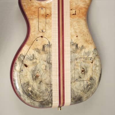 Alembic Further Buckeye burl top and back/gold frets and hardware/ and loaded  with lots of  options image 3