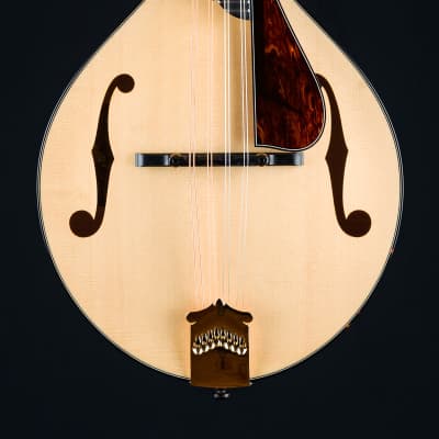 Collings MT2 Blonde Italian Spruce and Flamed Maple Mandolin with Pickguard NEW image 4