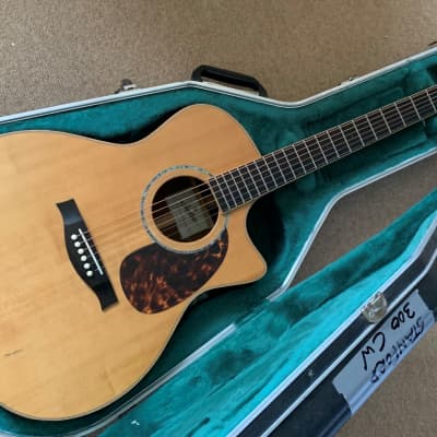 Stanford  MSGA 300cw Electro Acoustic Guitar with Tonewood pre-amp for sale