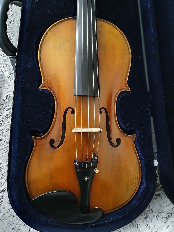 5string Viola 16" Reverb