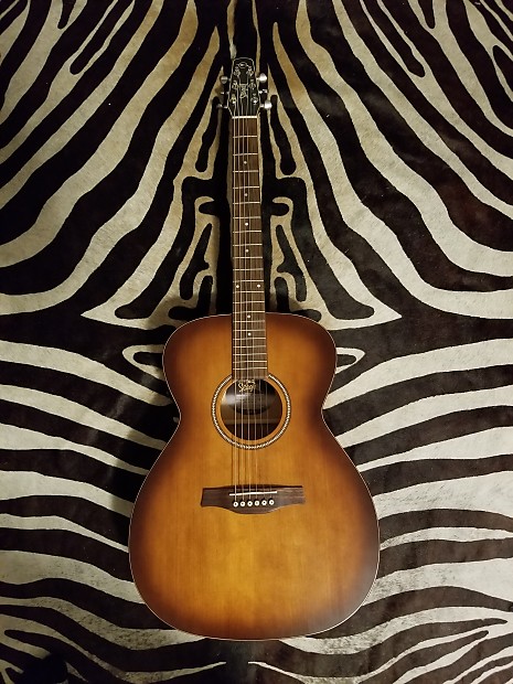Seagull c6 on sale