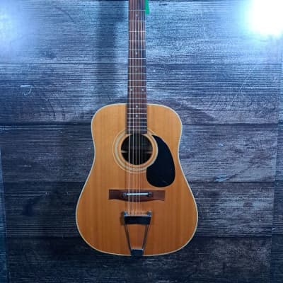 LARK L500 12 String Guitar (Tampa, FL) for sale