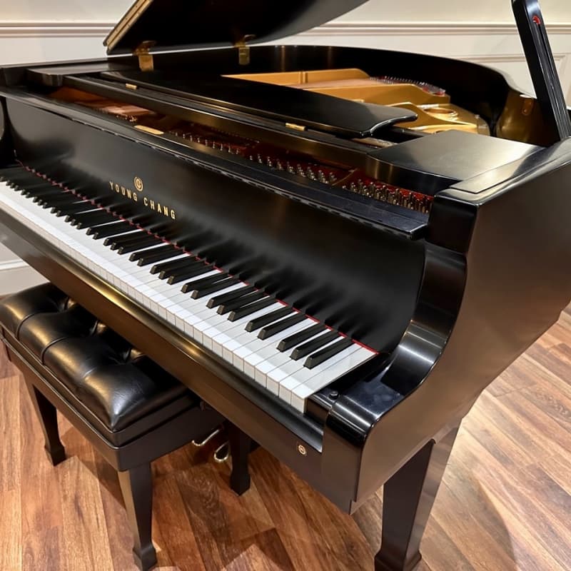 Tokai deals grand piano