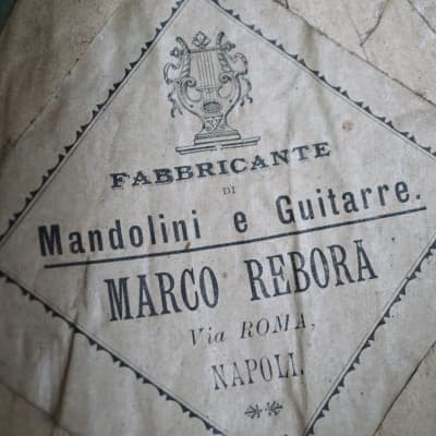 Mandolin - Round back made by Marco Rebora circa early 1900s image 6