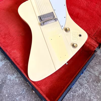 最旬ダウン Greco MIJ vintage original white Crème - 1980 c I Firebird ウェア