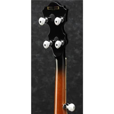 Ibanez B300 5-String Banjo, 22 Frets, Mahogany Neck, Rosewood Fretboard, Abalone Resonator Binding image 3