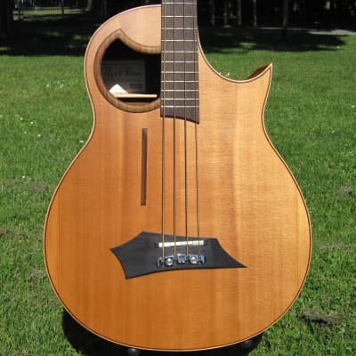 Sale: Rare Vintage Warwick Alien 4 electro-acoustic bass handcrafted by Lakewood in Germany image 1