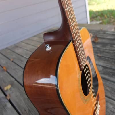 Morris MD 503 90s - Natural | Reverb