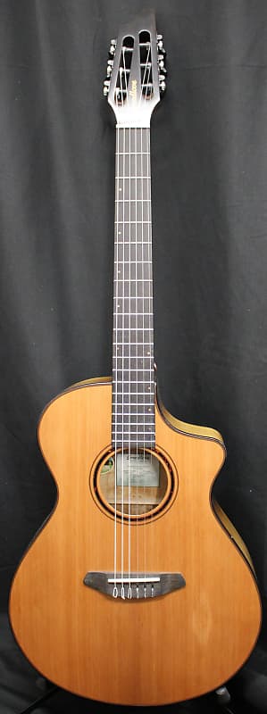 Breedlove classical store guitar