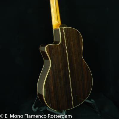 Cashimira 130C Palosanto Thinline Cutaway 2017 Out of Production made in Spain by Joan Cashimira image 4