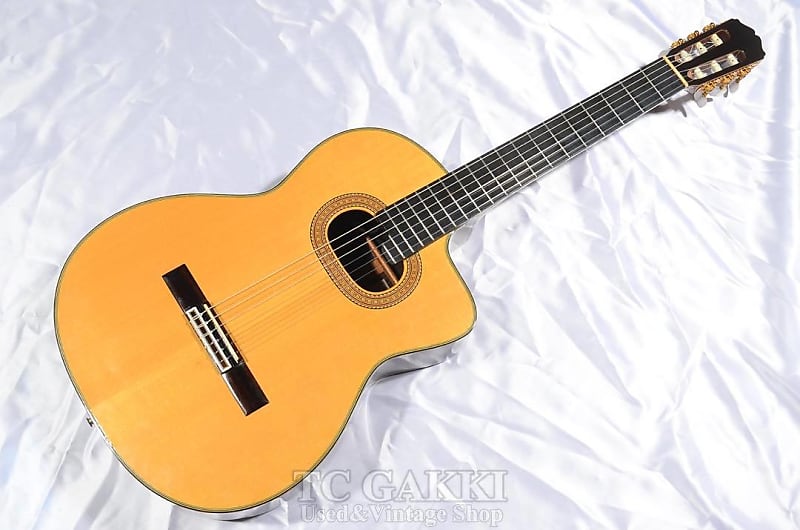 Takamine NPT 315 | Reverb