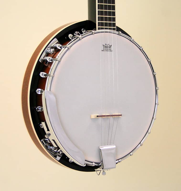 Ibanez Banjo B50 5-String with Closed Back image 1