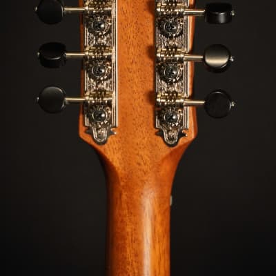 Stevens Mandolin Spruce / Padouk - Natural Satin image 6