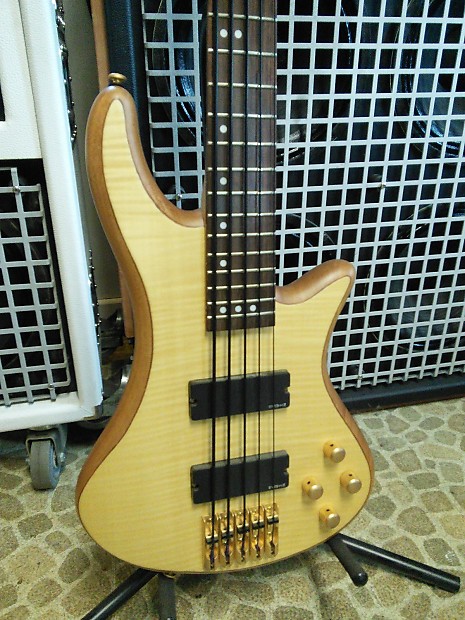 Schecter diamond hot sale series custom 5
