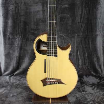 Warwick 1376909001CFOVSMWW Alien 6-String Fretless Acoustic Bass Guitar  w/Hey Key Tools & Cloth | Reverb