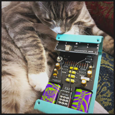 KittycasterFX Groovy Wizard Fuzz Driver Pedal Limited Monterey Pop Colorway image 2