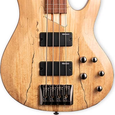 ESP LTD B-204SM FL Spalted Maple Fretless Bass Guitar, Natural Satin image 2