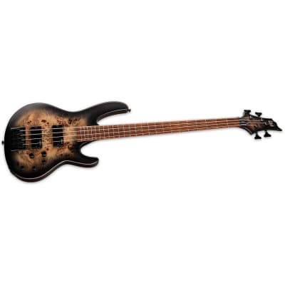 ESP LTD D-4 Bass Guitar(New) image 5