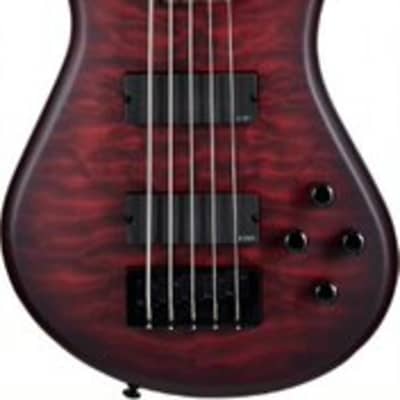 Basse Electrique 5 Cordes Spector NSPULSE5-UVM - NS Pulse II 5