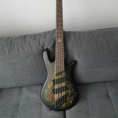 Spector NS Dimension 5 Haunted Moss (2022) for sale