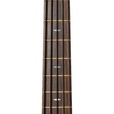CP Thornton B-026 5-String Bass image 17