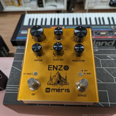 Meris Enzo | Reverb Canada