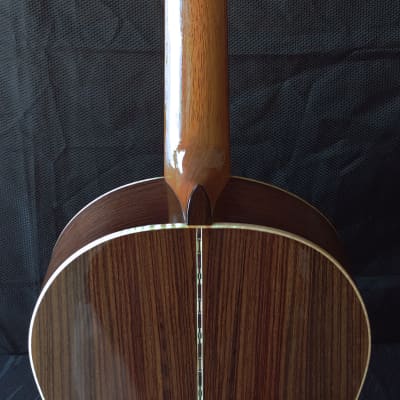 2022 Darren Hippner Indian Rosewood Domingo Esteso Model Classical Guitar image 7