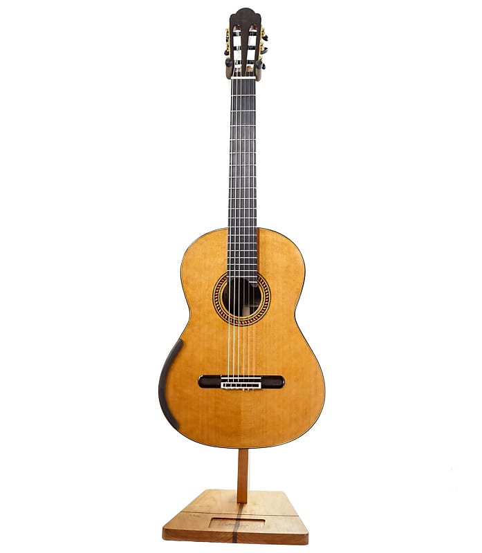 Yulong Guo Chamber Concert, 650mm, Cedar Double Top, Indian rosewood back/sides - 2023 image 1