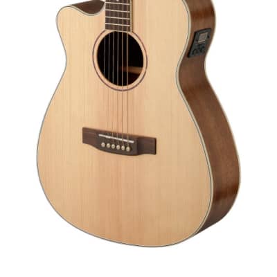 James Neligan ASY-ACE LH Auditorium Cut Solid Spruce Top 6-String Acoustic-Electric Guitar for Lefty image 5