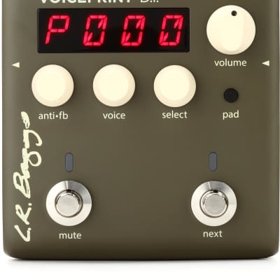 LR Baggs Voiceprint DI Acoustic Guitar Impulse Response