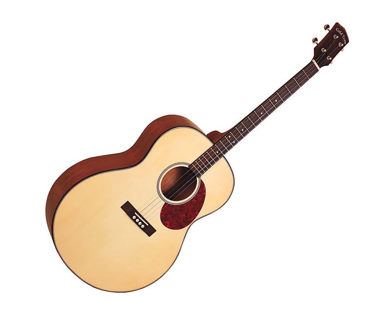 Gold Tone Tenor Guitar - B-Stock image 1
