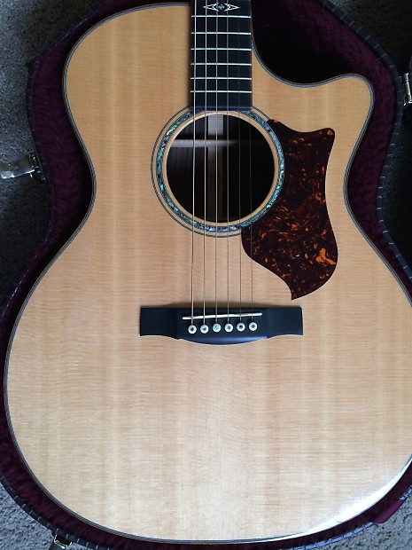 Martin GPCPA1 PLUS Reverb