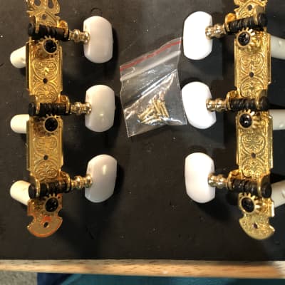 Unknown Classical Guitar Tuners 2022 - Gold with White Pearl image 2