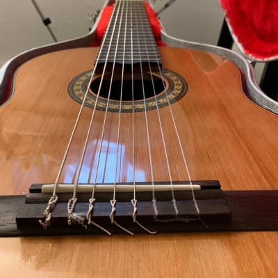 Daniel Mendes Eight String Guitar 2018 Cedar / Brazilian Rosewood image 3