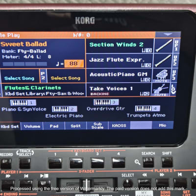 Korg PA1000 61-Key ✅ Professional Keyboard Arranger✅ Cleaned & Full Checked ✅ image 5
