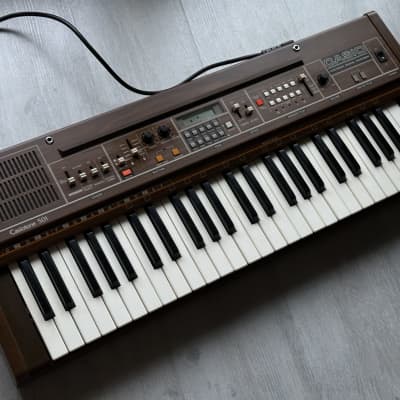 Casio CT-501 Casiotone Rare Vintage Synthesizer analog digital fm lofi 301 401 403 405 501 601 602 610 701