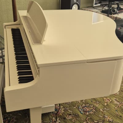 Clp565gp hotsell