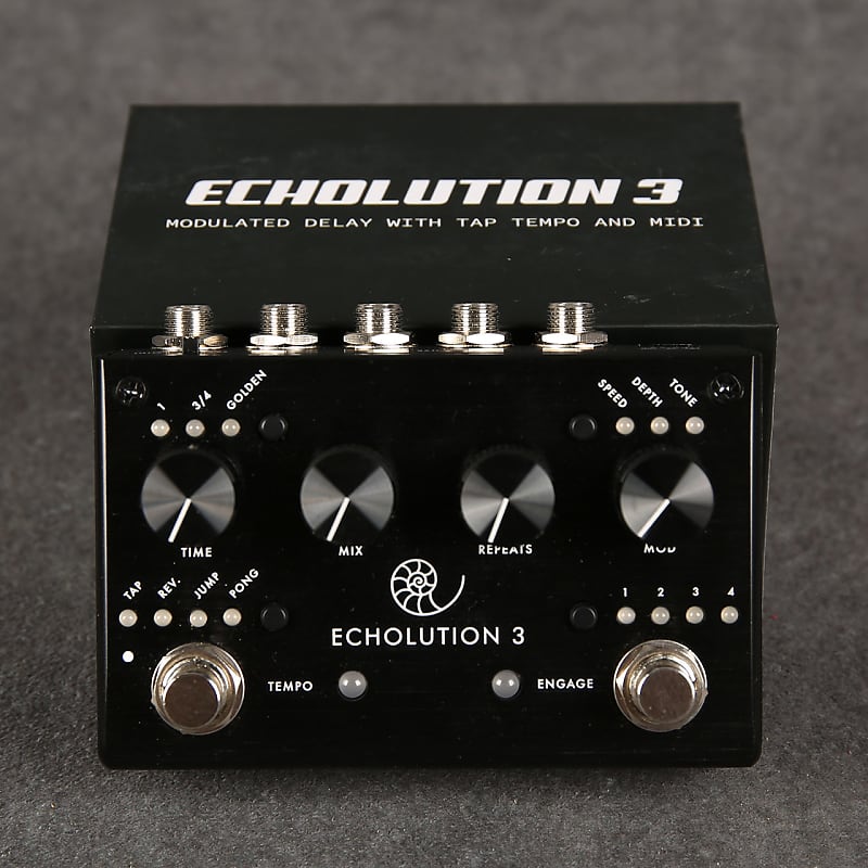 Pigtronix Echolution