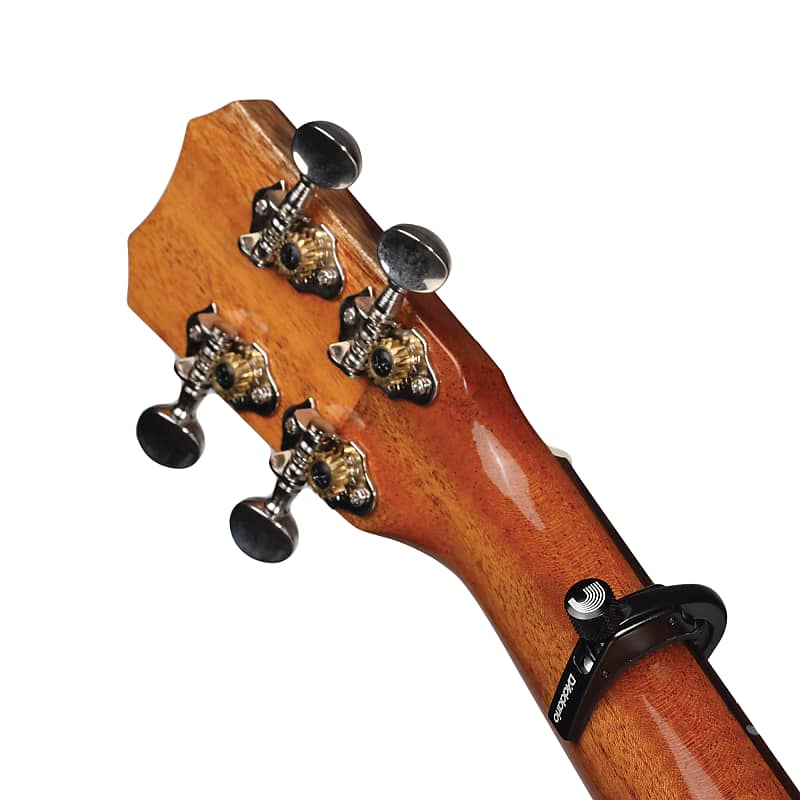 D'Addario Medium Chrome-Plated Brass Ukulele/Guitar Slide